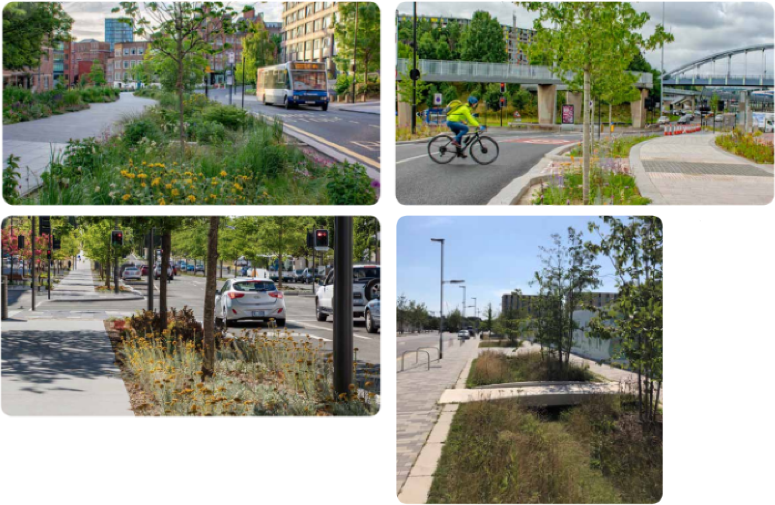 Street planting examples
